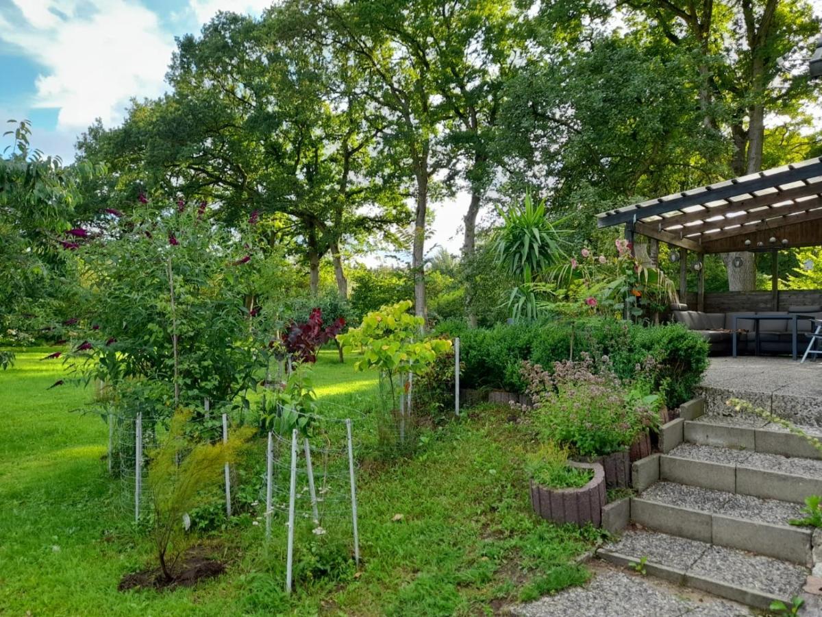 Haus Wald Und Wiese Wohnung Wald Ehndorf Zewnętrze zdjęcie