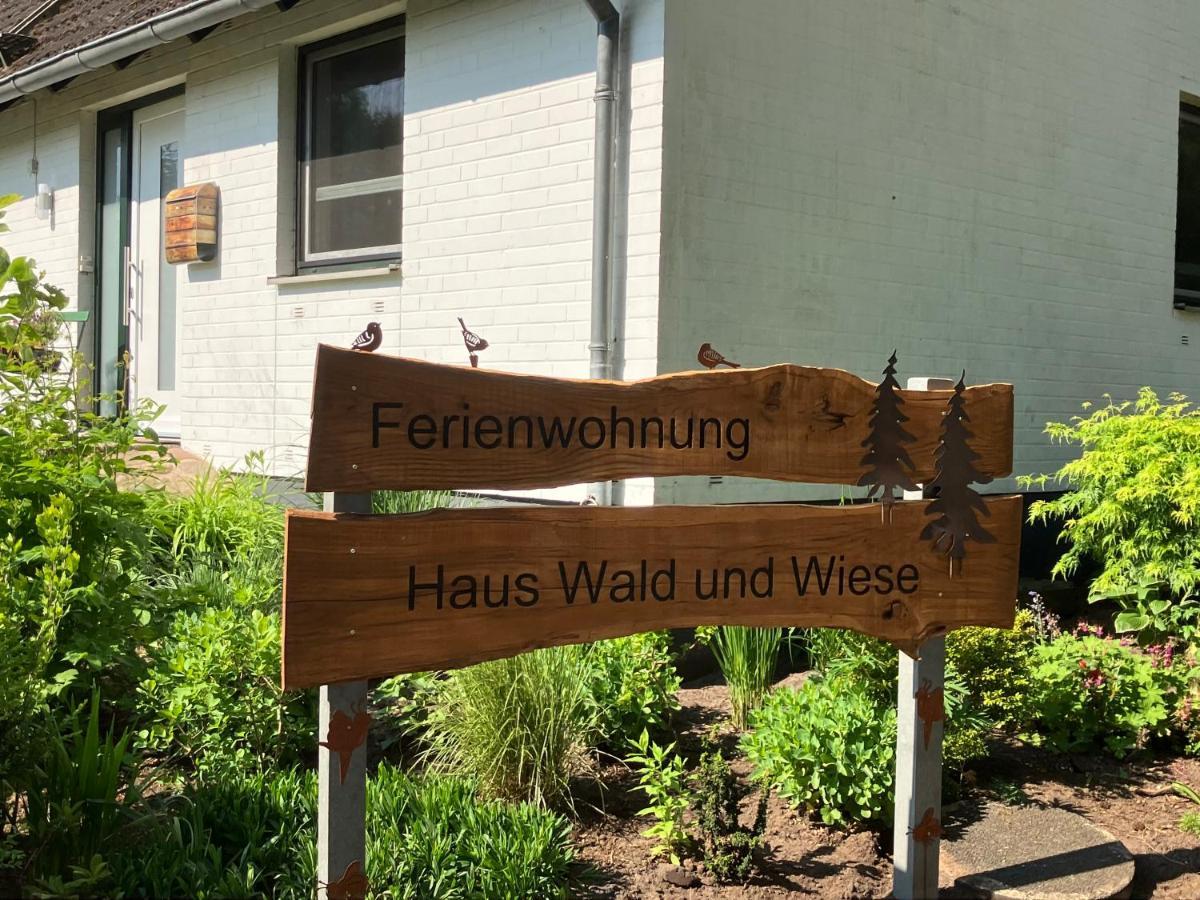 Haus Wald Und Wiese Wohnung Wald Ehndorf Zewnętrze zdjęcie